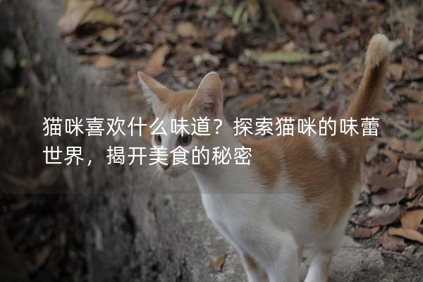 猫咪喜欢什么味道？探索猫咪的味蕾世界，揭开美食的秘密