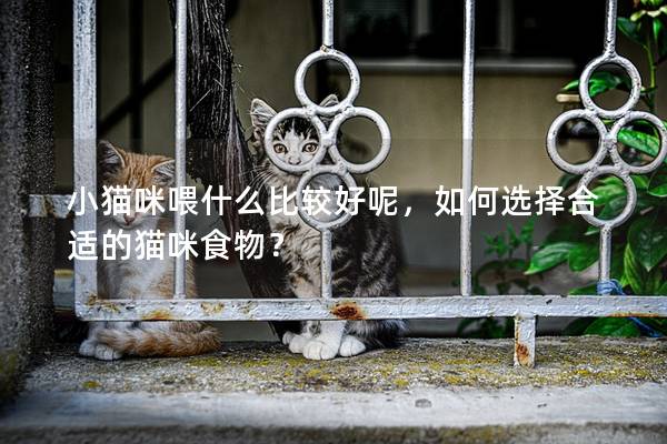 小猫咪喂什么比较好呢，如何选择合适的猫咪食物？