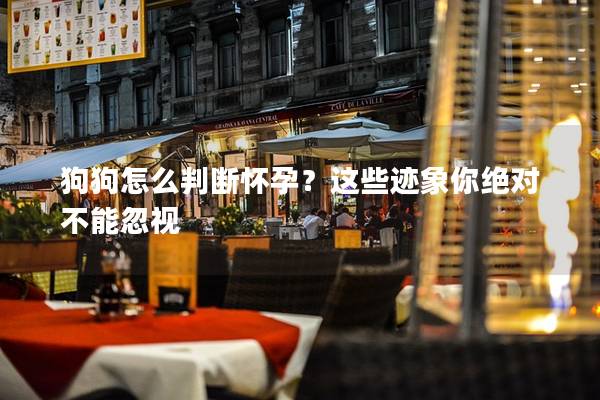 狗狗怎么判断怀孕？这些迹象你绝对不能忽视