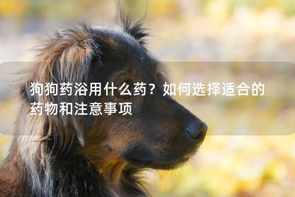 狗狗药浴用什么药？如何选择适合的药物和注意事项