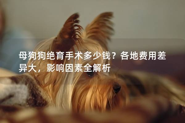 母狗狗绝育手术多少钱？各地费用差异大，影响因素全解析