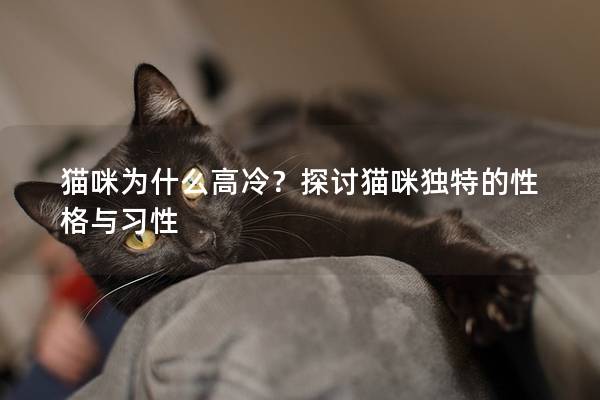 猫咪为什么高冷？探讨猫咪独特的性格与习性
