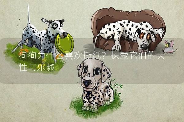 狗狗为什么喜欢撕纸？探索它们的天性与乐趣