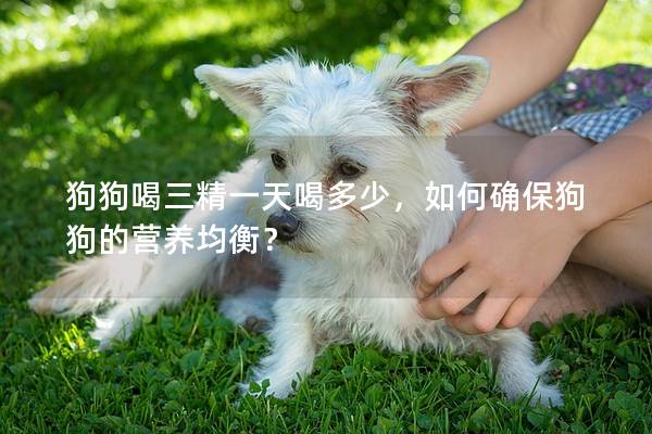 狗狗喝三精一天喝多少，如何确保狗狗的营养均衡？