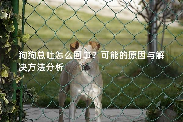狗狗总吐怎么回事？可能的原因与解决方法分析