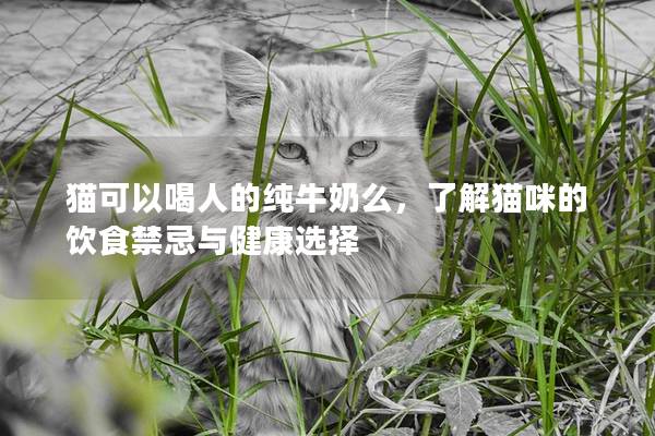 猫可以喝人的纯牛奶么，了解猫咪的饮食禁忌与健康选择