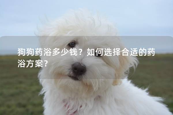 狗狗药浴多少钱？如何选择合适的药浴方案？