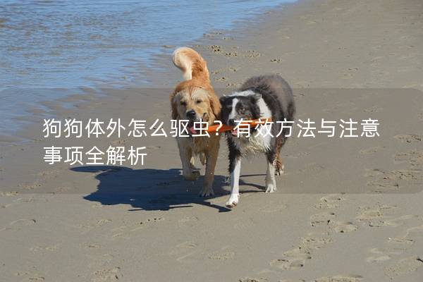 狗狗体外怎么驱虫？有效方法与注意事项全解析