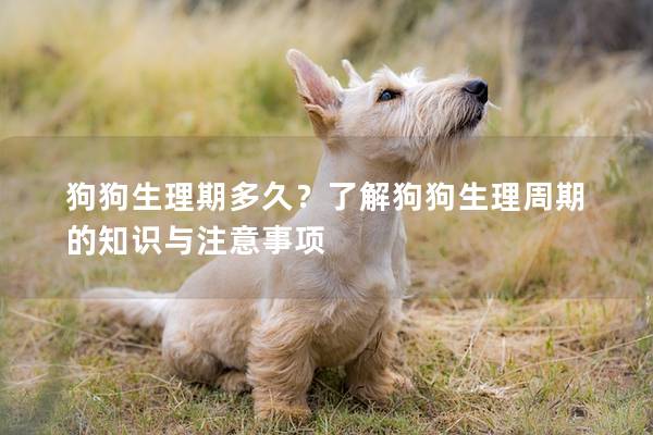 狗狗生理期多久？了解狗狗生理周期的知识与注意事项