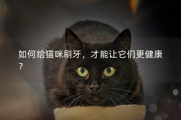 如何给猫咪刷牙，才能让它们更健康？
