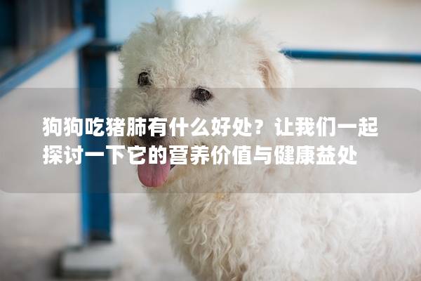 狗狗吃猪肺有什么好处？让我们一起探讨一下它的营养价值与健康益处