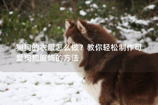 狗狗的衣服怎么做？教你轻松制作可爱狗狗服饰的方法