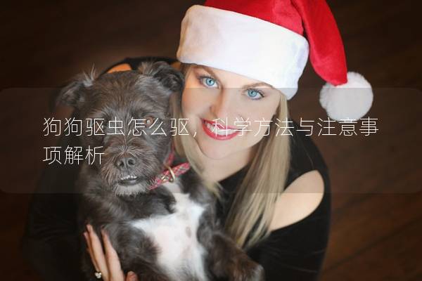 狗狗驱虫怎么驱,科学方法与注意事项解析 狗狗驱虫怎么驱,科学方法与注意事项解析