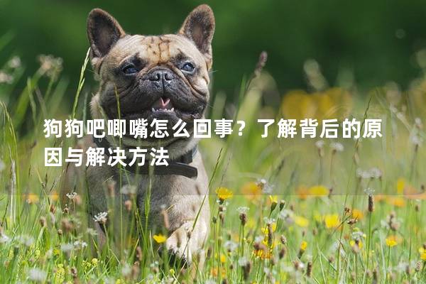 狗狗吧唧嘴怎么回事？了解背后的原因与解决方法