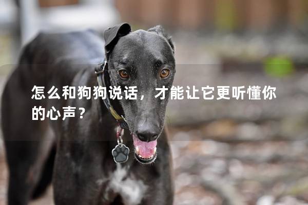 怎么和狗狗说话，才能让它更听懂你的心声？