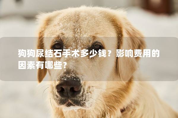 狗狗尿结石手术多少钱？影响费用的因素有哪些？