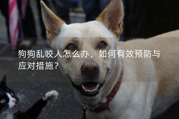 狗狗乱咬人怎么办，如何有效预防与应对措施？
