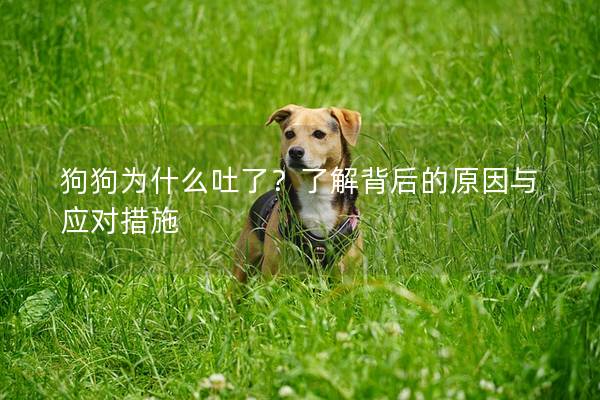 狗狗为什么吐了？了解背后的原因与应对措施