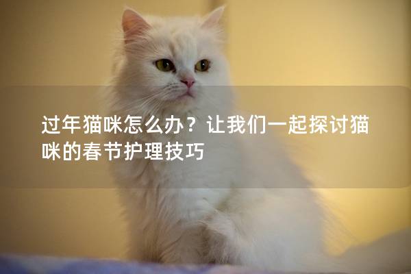 过年猫咪怎么办？让我们一起探讨猫咪的春节护理技巧