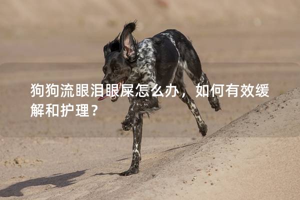 狗狗流眼泪眼屎怎么办，如何有效缓解和护理？
