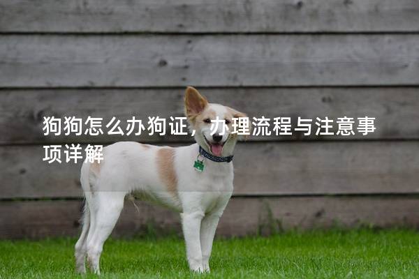 狗狗怎么办狗证，办理流程与注意事项详解