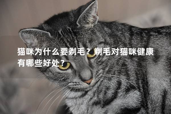 猫咪为什么要剃毛?剃毛对猫咪健康有哪些好处? 猫咪为什么要剃毛?剃毛对猫咪健康有哪些好处?
