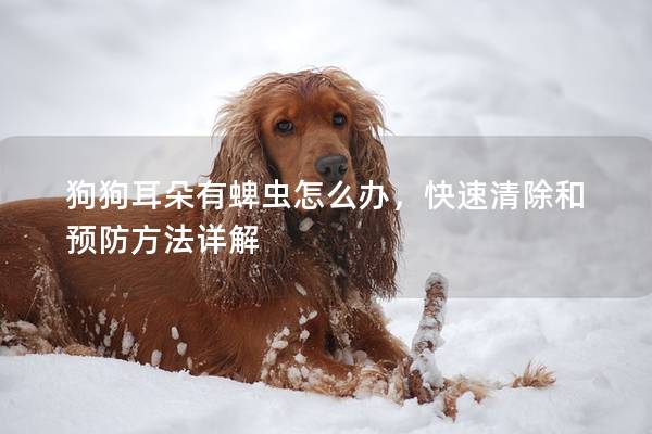 狗狗耳朵有蜱虫怎么办，快速清除和预防方法详解
