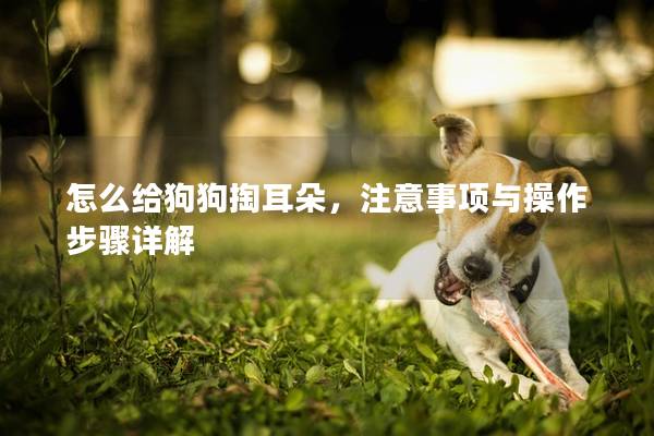 怎么给狗狗掏耳朵，注意事项与操作步骤详解
