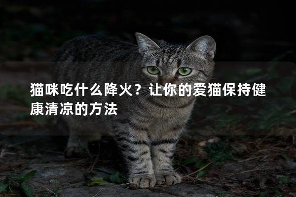猫咪吃什么降火？让你的爱猫保持健康清凉的方法
