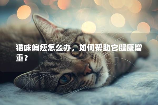 猫咪偏瘦怎么办，如何帮助它健康增重？