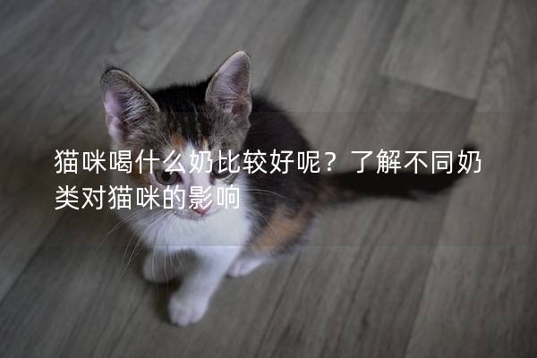 猫咪喝什么奶比较好呢？了解不同奶类对猫咪的影响