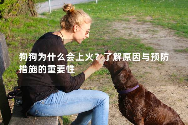 狗狗为什么会上火？了解原因与预防措施的重要性