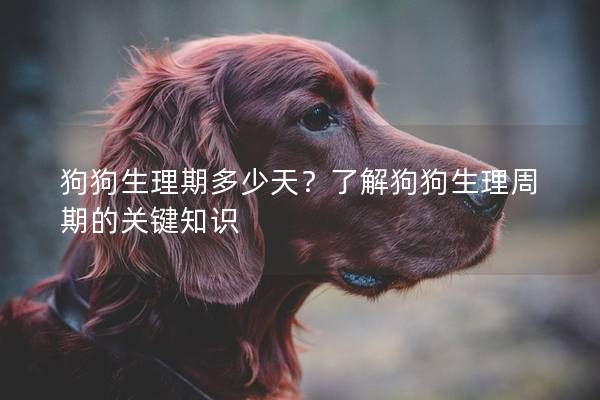 狗狗生理期多少天？了解狗狗生理周期的关键知识