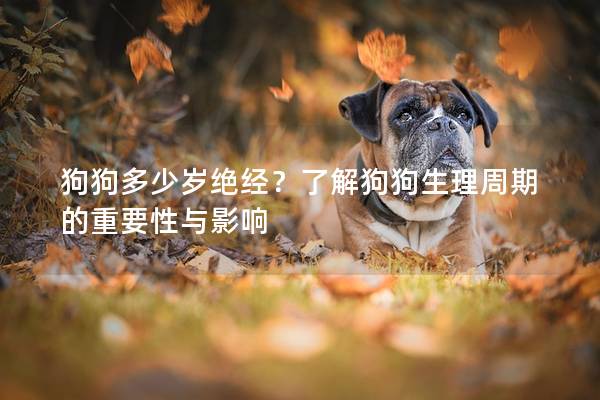 狗狗多少岁绝经？了解狗狗生理周期的重要性与影响