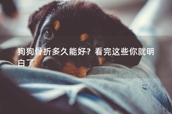 狗狗骨折多久能好?看完这些你就明白了 狗狗骨折多久能好?看完这些你就明白了