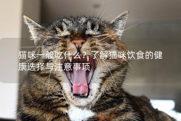 猫咪一般吃什么？了解猫咪饮食的健康选择与注意事项