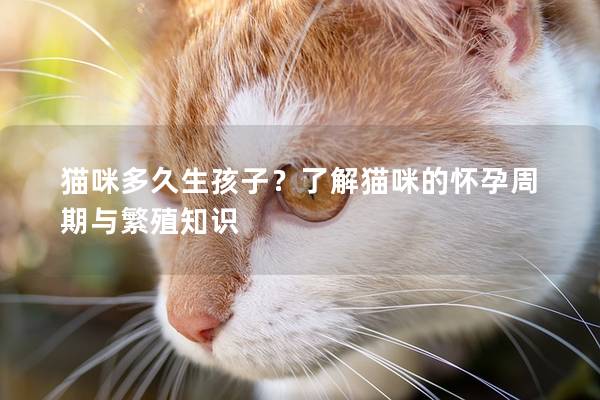 猫咪多久生孩子？了解猫咪的怀孕周期与繁殖知识