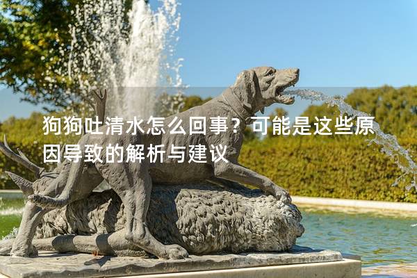 狗狗吐清水怎么回事？可能是这些原因导致的解析与建议