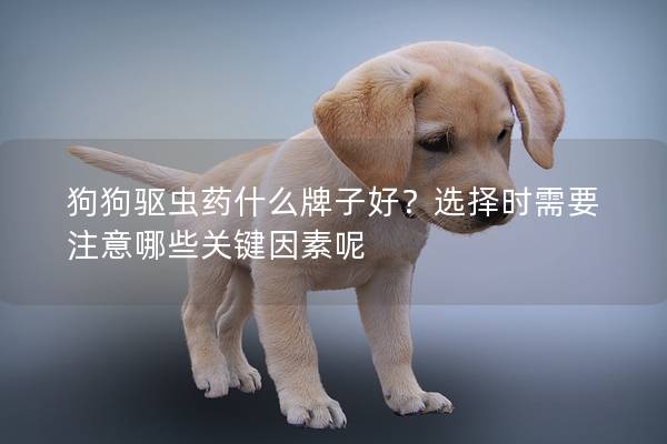 狗狗驱虫药什么牌子好？选择时需要注意哪些关键因素呢