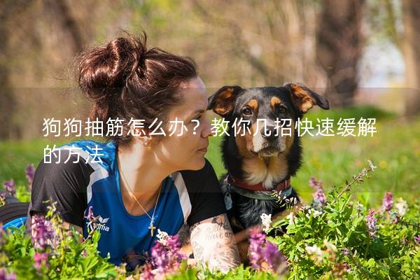 狗狗抽筋怎么办？教你几招快速缓解的方法