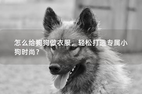 怎么给狗狗做衣服，轻松打造专属小狗时尚？