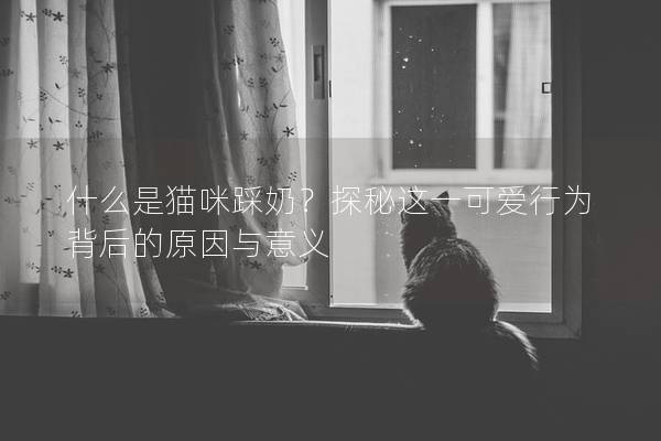 什么是猫咪踩奶？探秘这一可爱行为背后的原因与意义