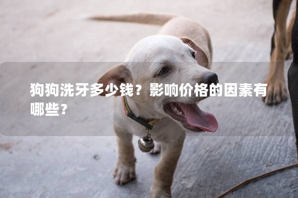 狗狗洗牙多少钱？影响价格的因素有哪些？