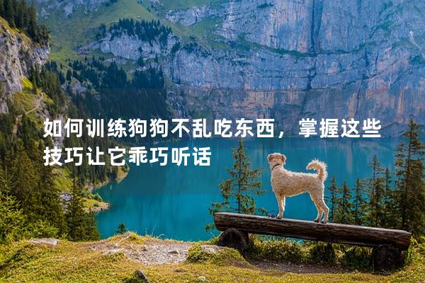 如何训练狗狗不乱吃东西，掌握这些技巧让它乖巧听话