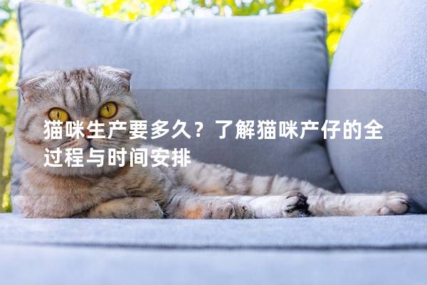 猫咪生产要多久？了解猫咪产仔的全过程与时间安排