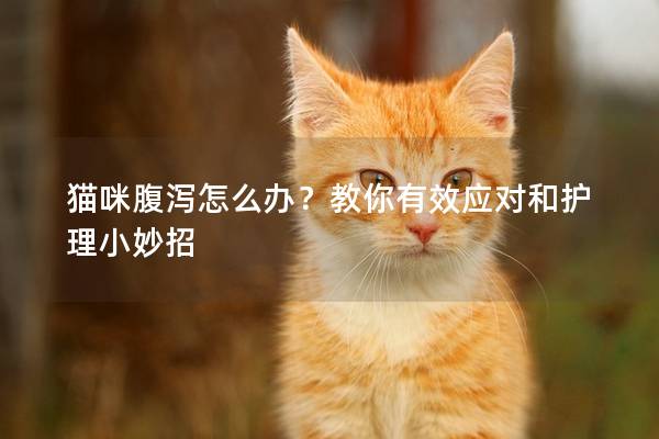 猫咪腹泻怎么办？教你有效应对和护理小妙招