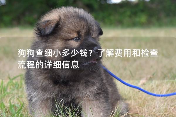狗狗查细小多少钱？了解费用和检查流程的详细信息