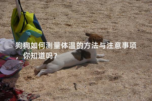 狗狗如何测量体温的方法与注意事项，你知道吗？