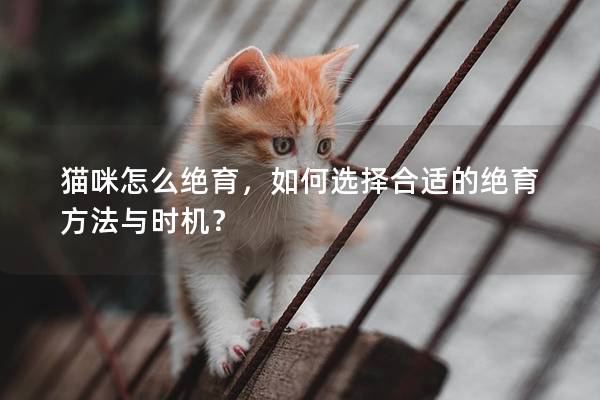 猫咪怎么绝育，如何选择合适的绝育方法与时机？