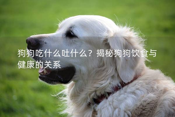 狗狗吃什么吐什么?揭秘狗狗饮食与健康的关系 狗狗吃什么吐什么?揭秘狗狗饮食与健康的关系